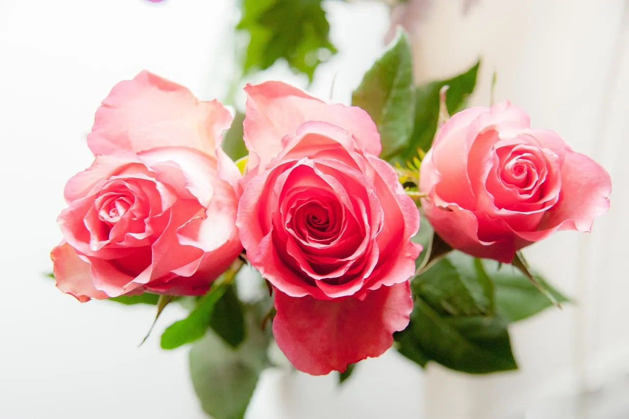 30 Beautiful Rose tattoo design for Women